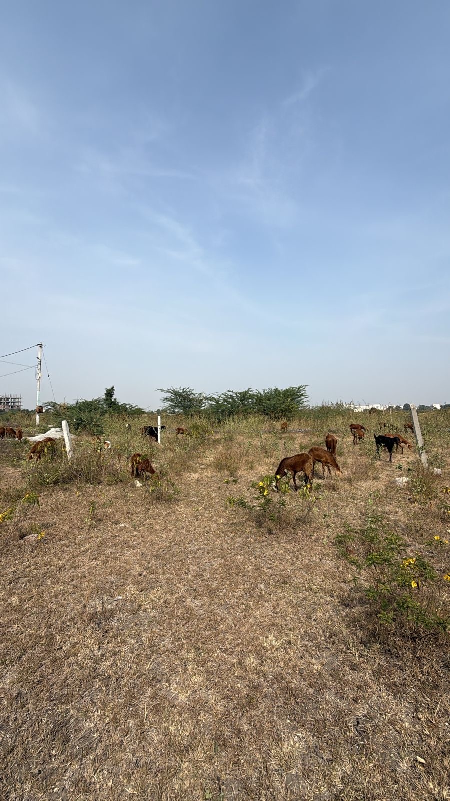Plot for Sell in MOKA Road ballari