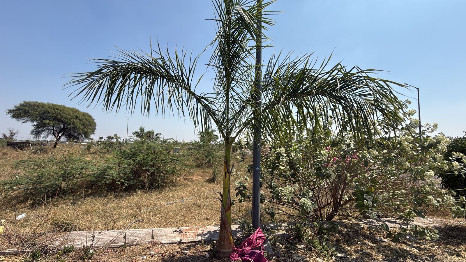 Plot for Sell in Moka road,  near KRS Functional hall ballari