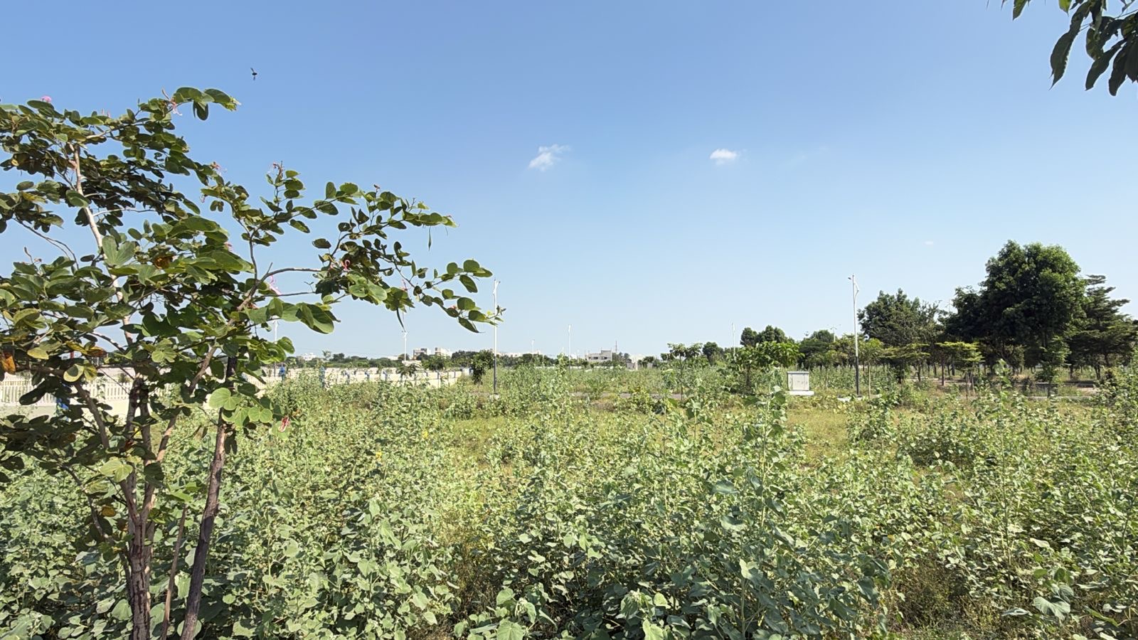 Plot for Sell in Sriguppa road ballari