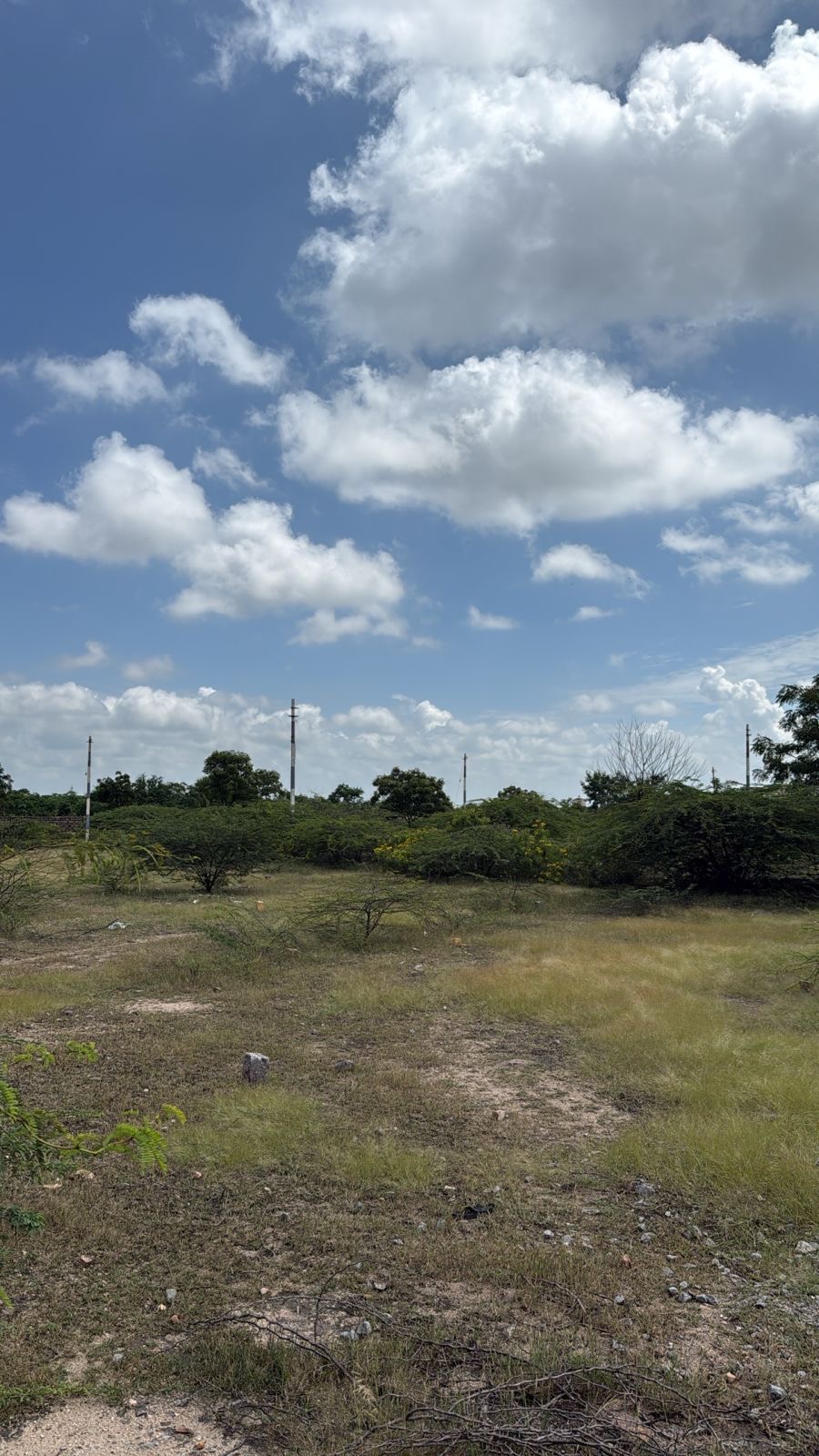 Plot for Sell in Belgal cross, ballari