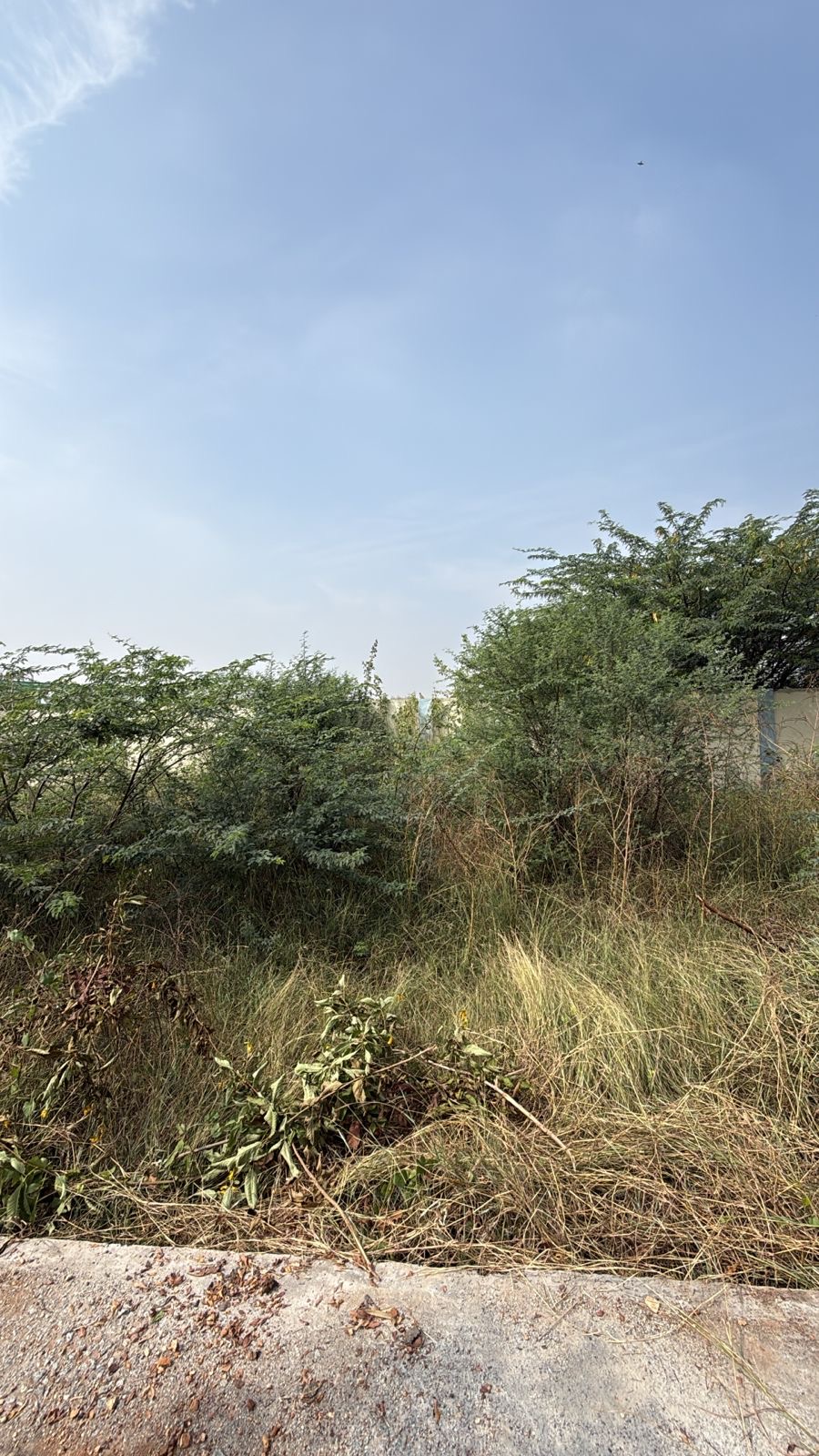 Plot for Sell in Talur road ballari