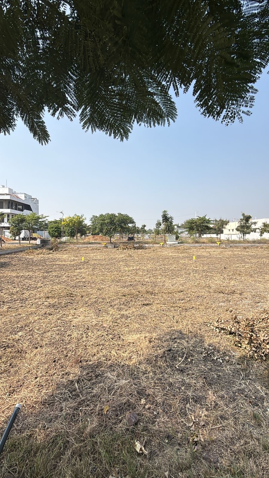 Plot for Sell in Sriguppa road
