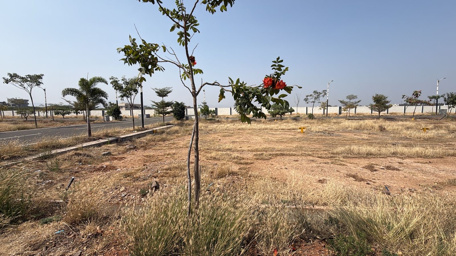 Plot for Sell in Cowl bazar ballari